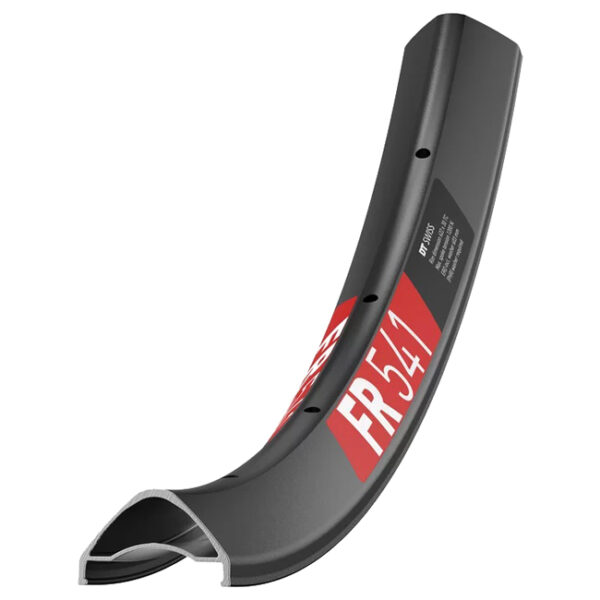 LLANTA DT SWISS FR541