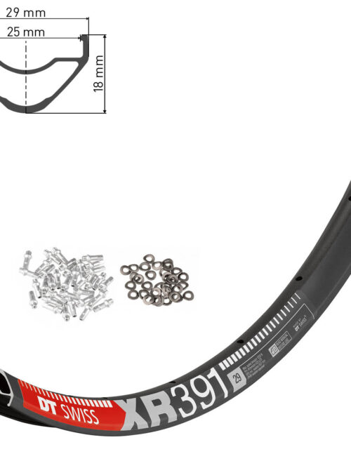 Llanta DT Swiss XR391 29" 32H