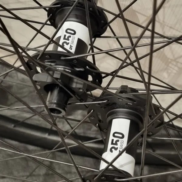 Ruedas DT Swiss FR1950 29"