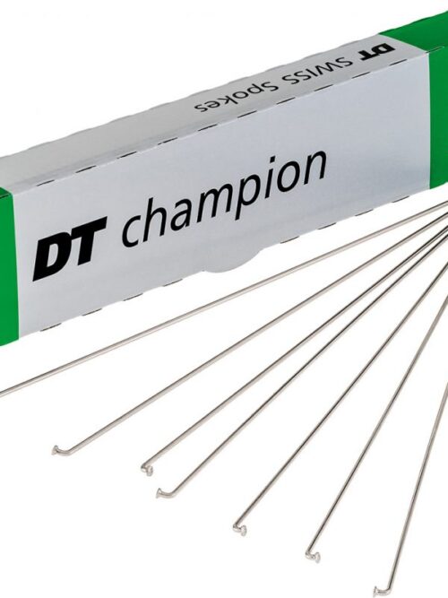 Rayo DT Swiss Champion Silver | SLComponents®