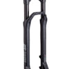 Horquilla DT Swiss 29" F232 One
