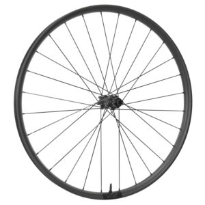 Alternative view of Ruedas DUKE | DT Swiss 350 29" Boost