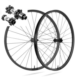 Ruedas DUKE | DT Swiss 350 29" Boost